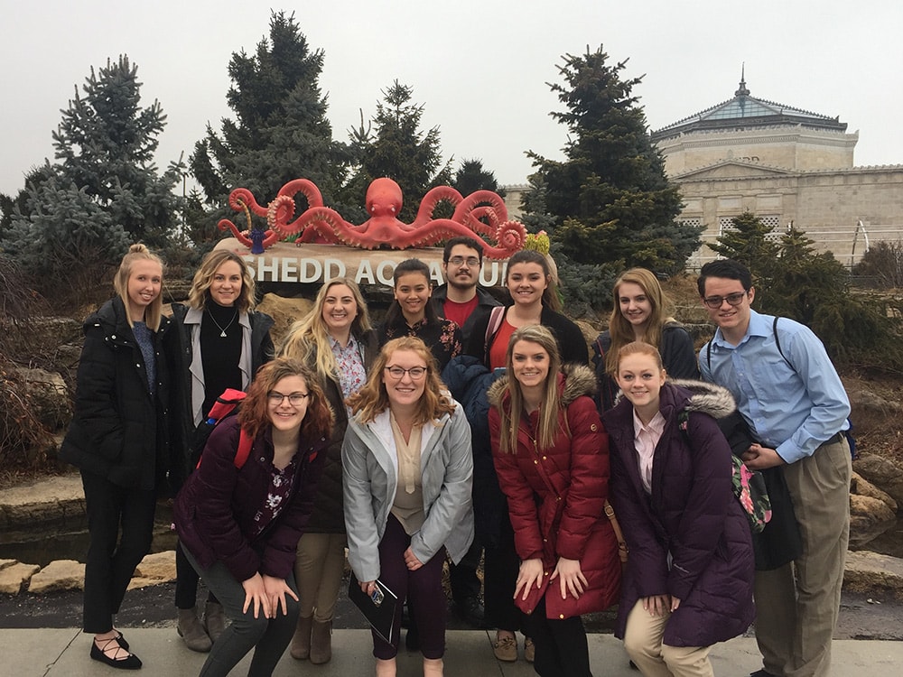 Visiting Shedd Aquarium